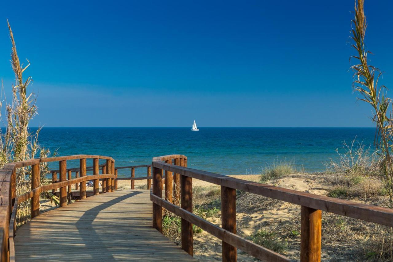 Apartamento "Vino Blanco" Arenales del Sol Ngoại thất bức ảnh